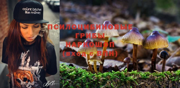 каннабис Алексеевка