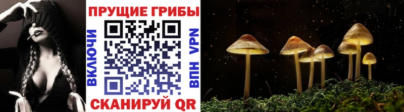 Псилоцибиновые грибы MAGIC MUSHROOMS Тулун
